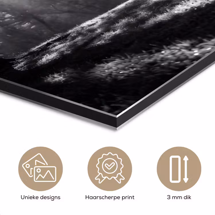 Aluminium schilderij - Mens - Hond - Natuur - Zwart-wit - Silhouet — 7