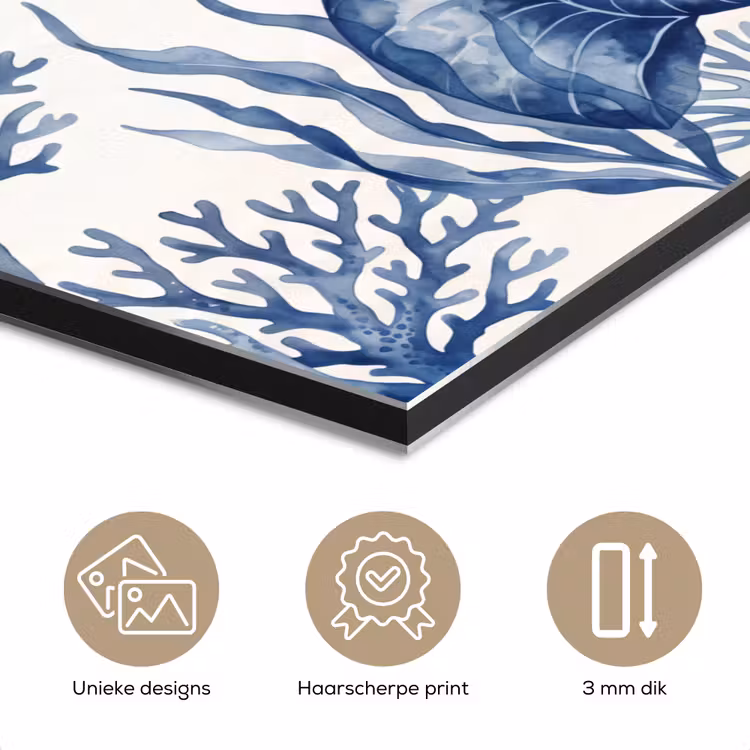 Aluminium schilderij - Schelp - Spiraal - Zeeleven - Aquarel - Blauw — 7