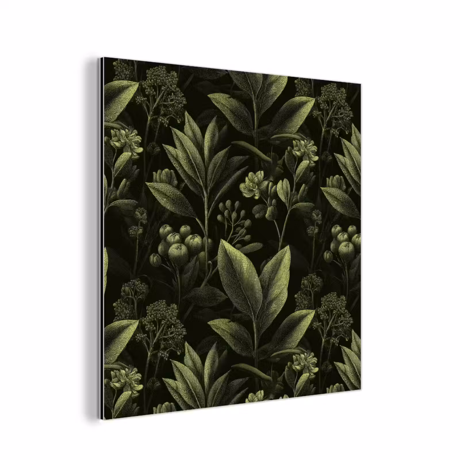 Aluminium schilderij - Klassiek - Donker - Botanisch - Planten — 1