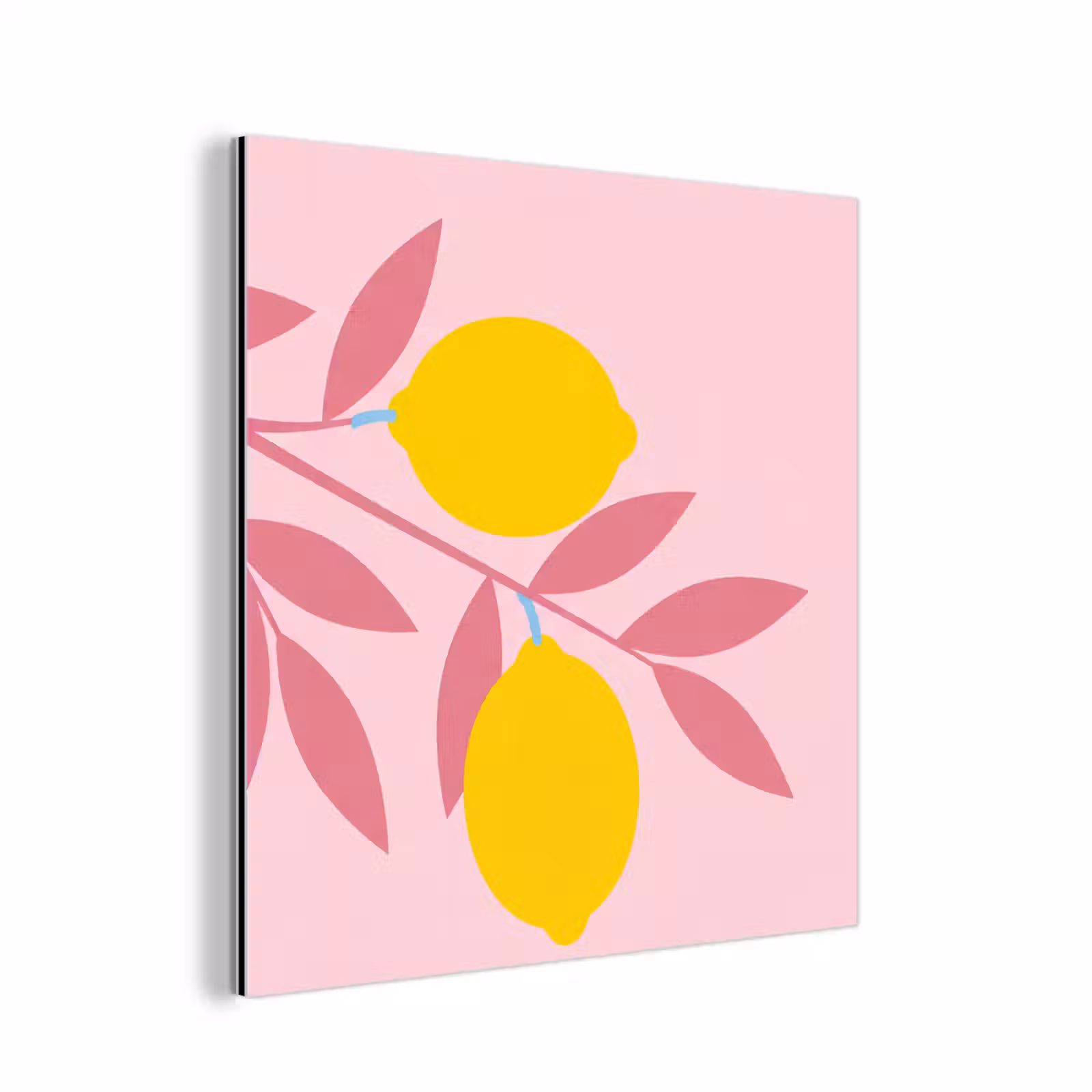 Aluminium schilderij - Fruit - Tak - Natuur - Abstract - Roze — 1