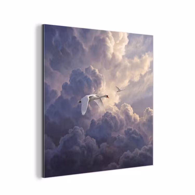 Aluminium schilderij - Vogel - Vliegend - Natuur - Wit - Wolken — 1