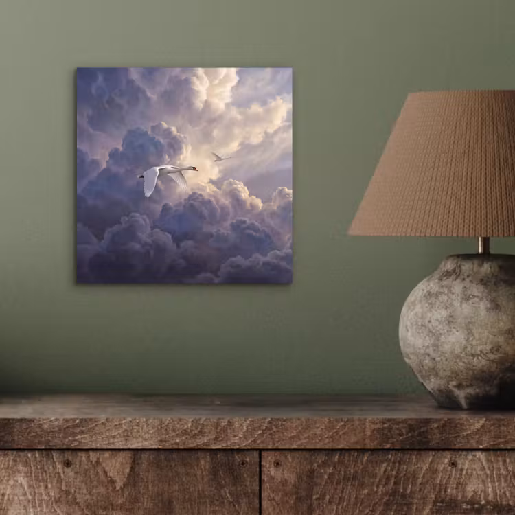 Aluminium schilderij - Vogel - Vliegend - Natuur - Wit - Wolken — 3