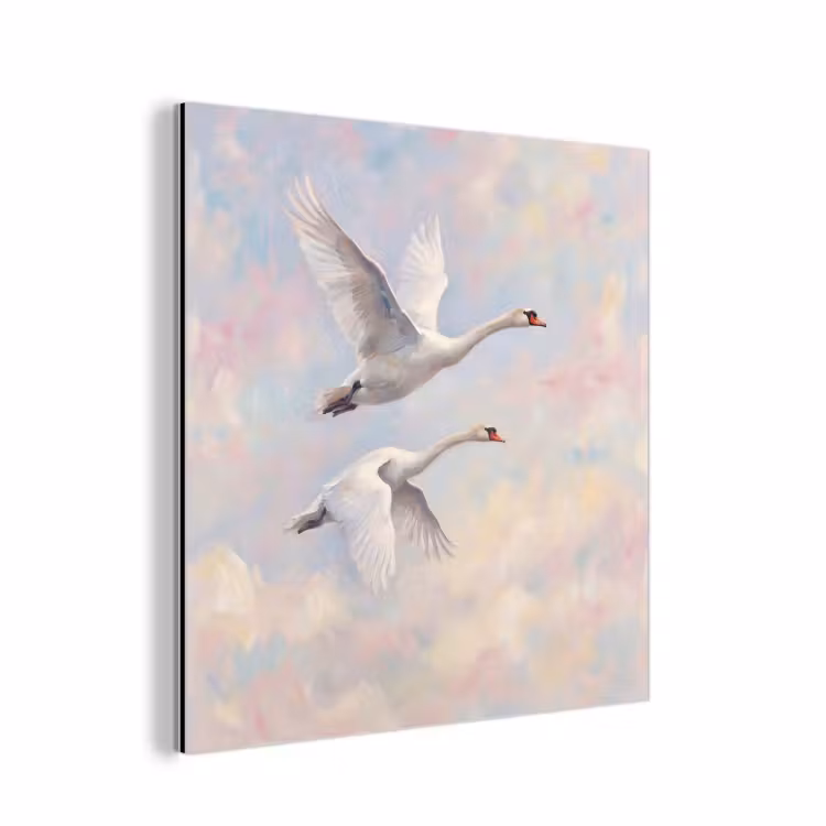 Aluminium schilderij - Vogel - Vliegend - Lucht - Modern - Pastel — 1