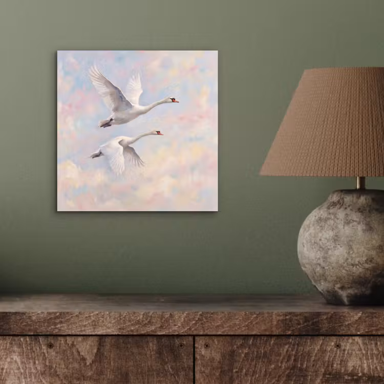 Aluminium schilderij - Vogel - Vliegend - Lucht - Modern - Pastel — 3