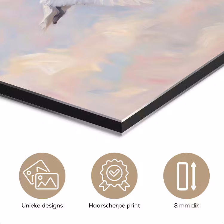 Aluminium schilderij - Vogel - Vliegend - Lucht - Modern - Pastel — 7