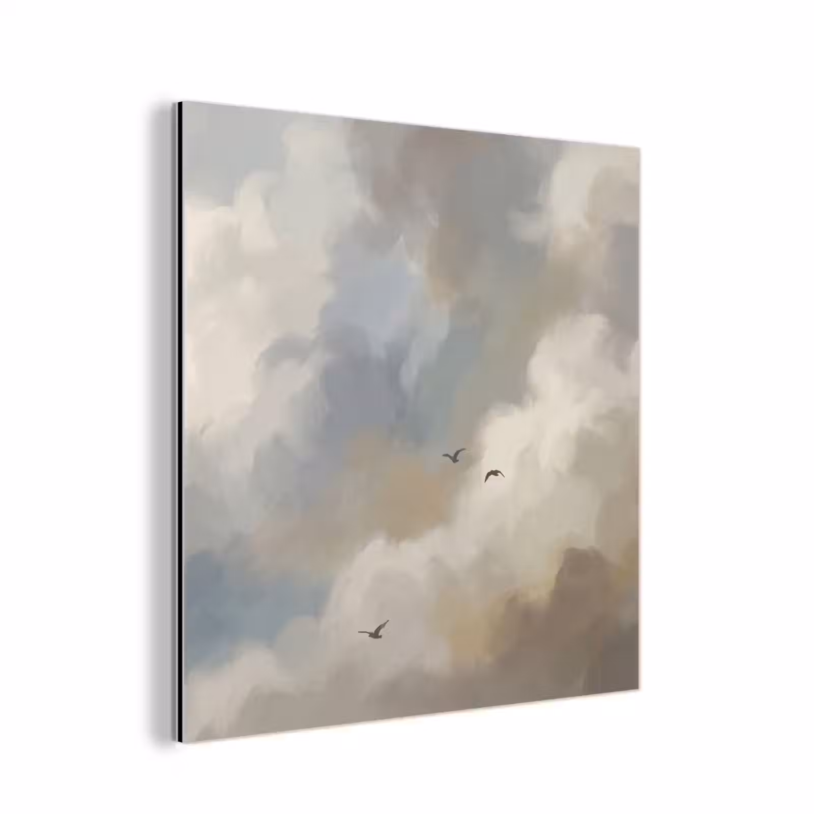 Aluminium schilderij - Vogel - Wolken - Natuur - Modern - Grijs — 1