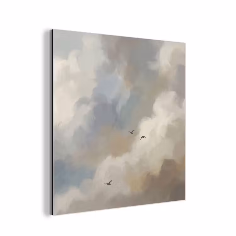 Aluminium schilderij - Vogel - Wolken - Natuur - Modern - Grijs — 1