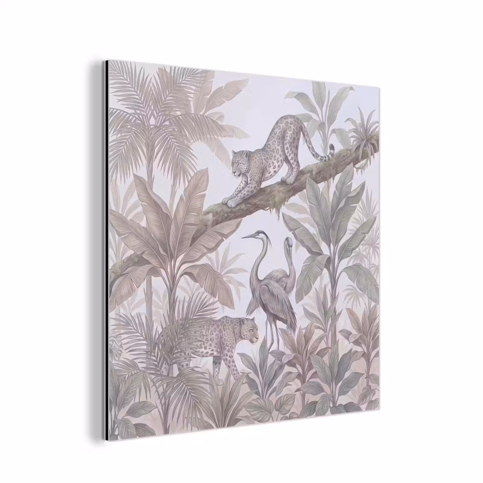Aluminium schilderij - Kat - Vogel - Jungle - Illustratie - Dieren — 1