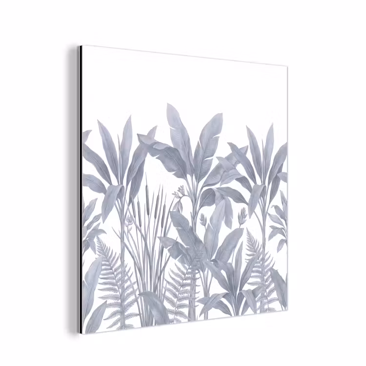 Aluminium schilderij - Planten - Bladeren - Natuur - Grijs — 1