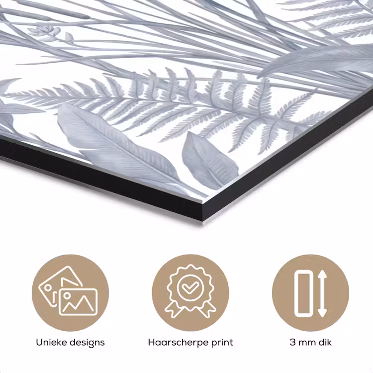 Aluminium schilderij - Planten - Bladeren - Natuur - Grijs — 7