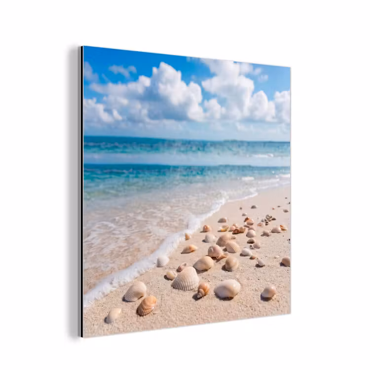 Aluminium schilderij - Schelpen - Strand - Natuur - Beige — 1