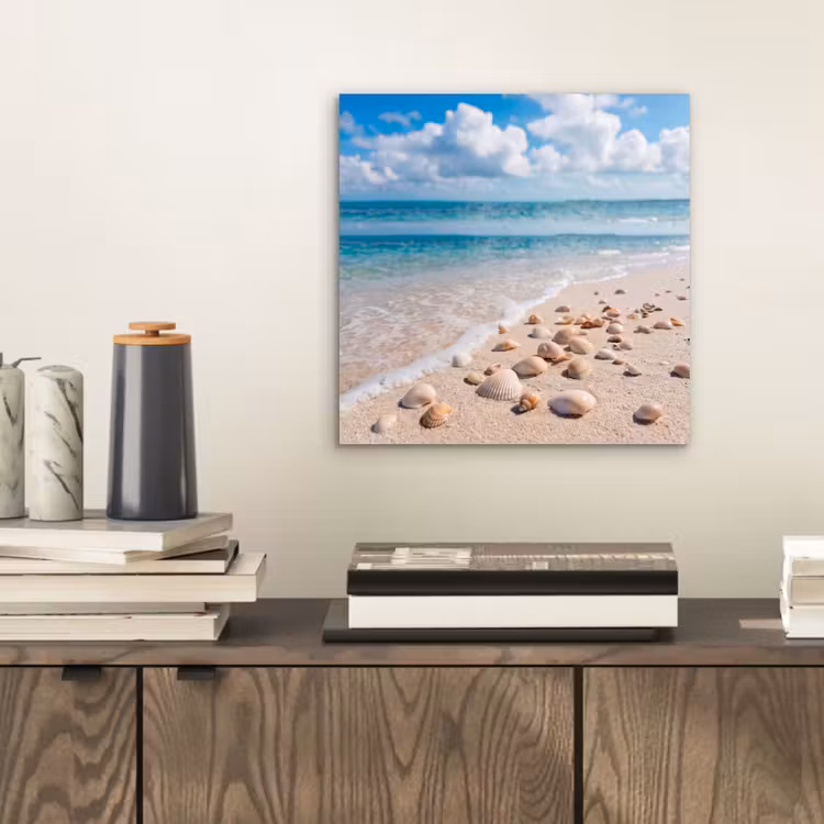 Aluminium schilderij - Schelpen - Strand - Natuur - Beige — 2