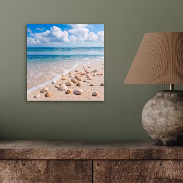 Aluminium schilderij - Schelpen - Strand - Natuur - Beige — 3