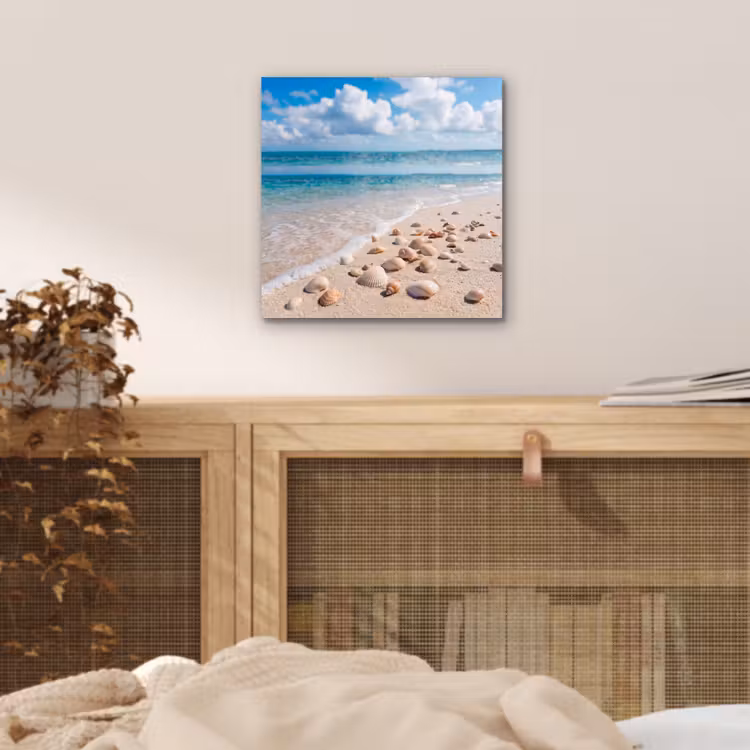 Aluminium schilderij - Schelpen - Strand - Natuur - Beige — 4