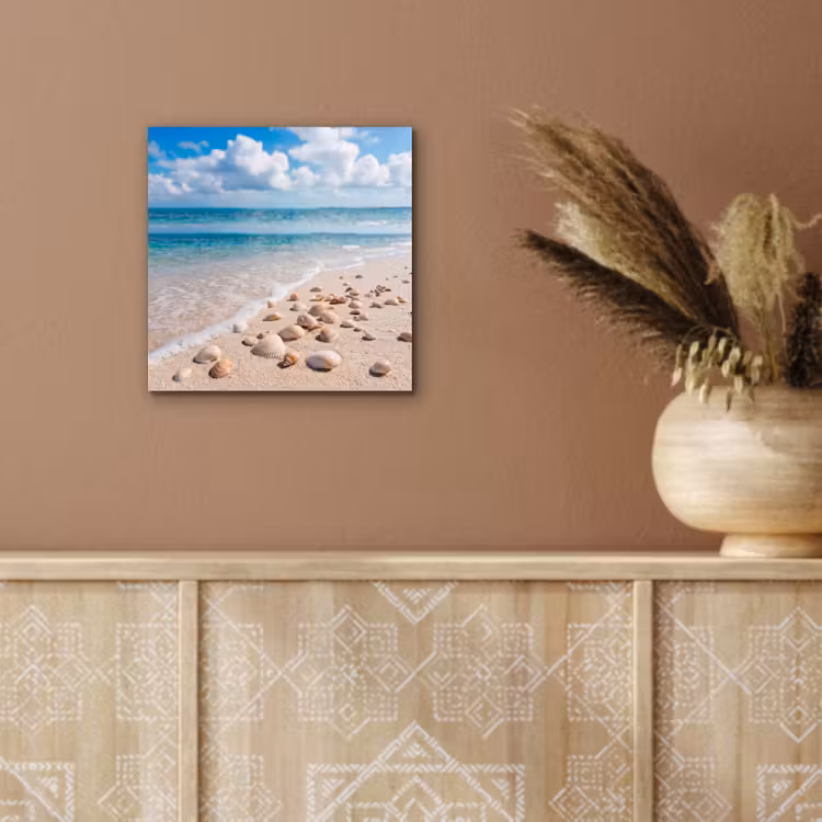 Aluminium schilderij - Schelpen - Strand - Natuur - Beige — 5