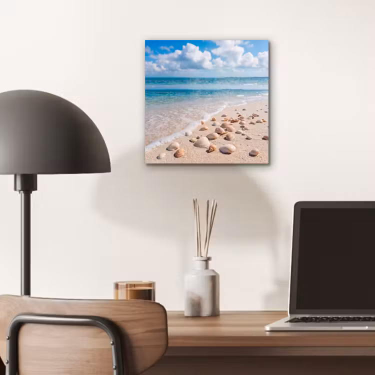 Aluminium schilderij - Schelpen - Strand - Natuur - Beige — 6