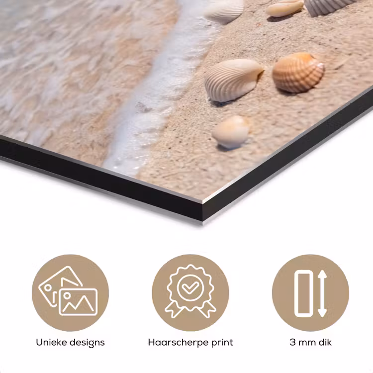 Aluminium schilderij - Schelpen - Strand - Natuur - Beige — 7