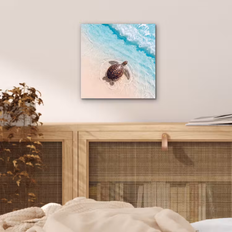 Aluminium schilderij - Schildpad - Helder water - Strand - Dieren - Natuur — 4