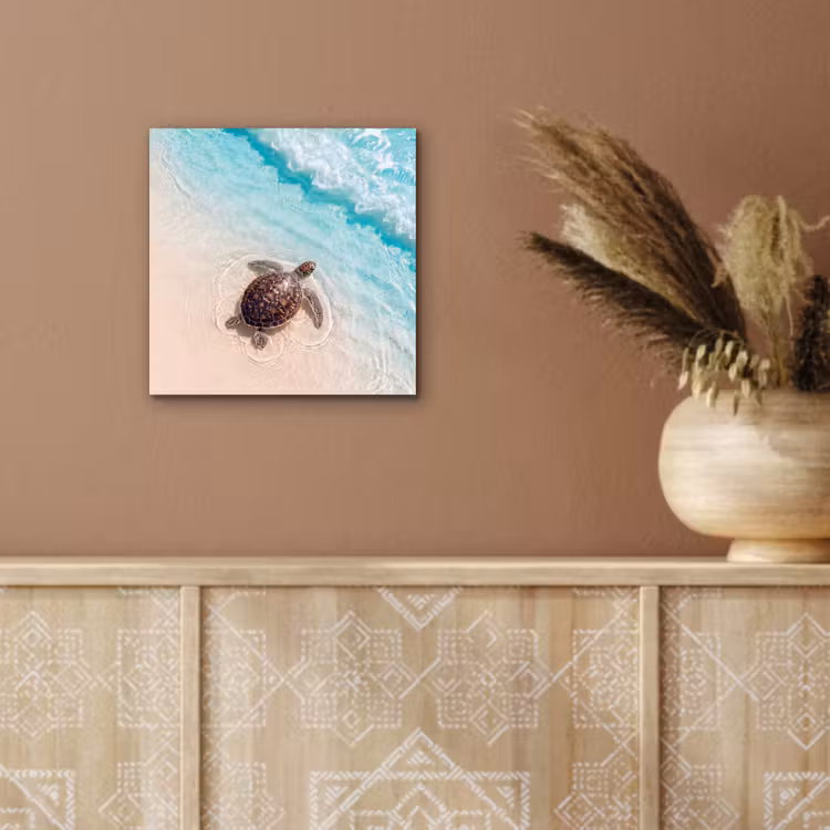 Aluminium schilderij - Schildpad - Helder water - Strand - Dieren - Natuur — 5