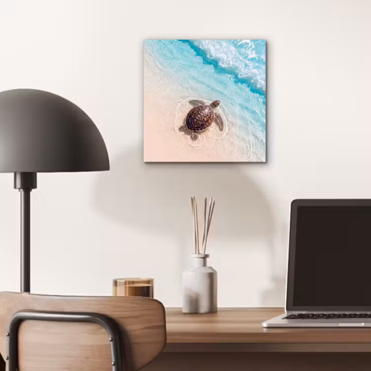 Aluminium schilderij - Schildpad - Helder water - Strand - Dieren - Natuur — 6