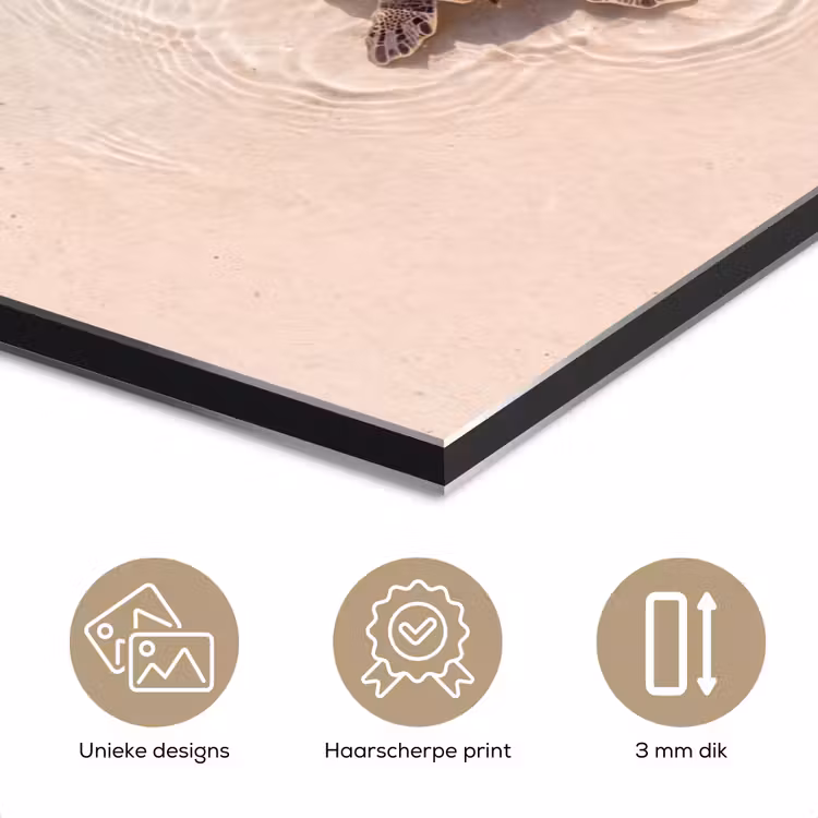 Aluminium schilderij - Schildpad - Helder water - Strand - Dieren - Natuur — 7