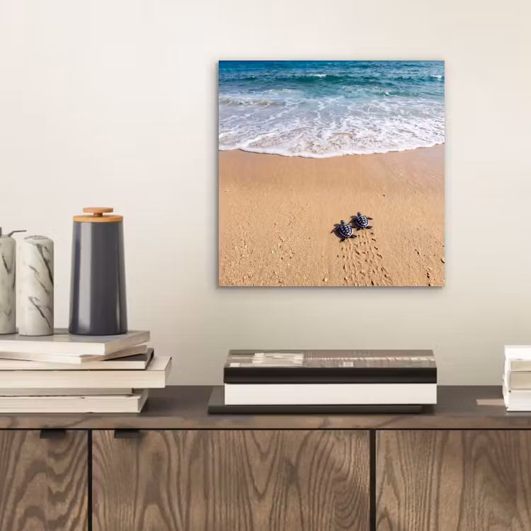 Aluminium schilderij - Schildpad - Jong - Strand - Oceaan - Blauw — 2