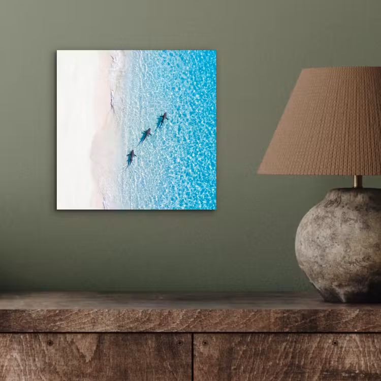 Aluminium schilderij - Vis - Oceaan - Strand - Turquoise - Natuur — 3