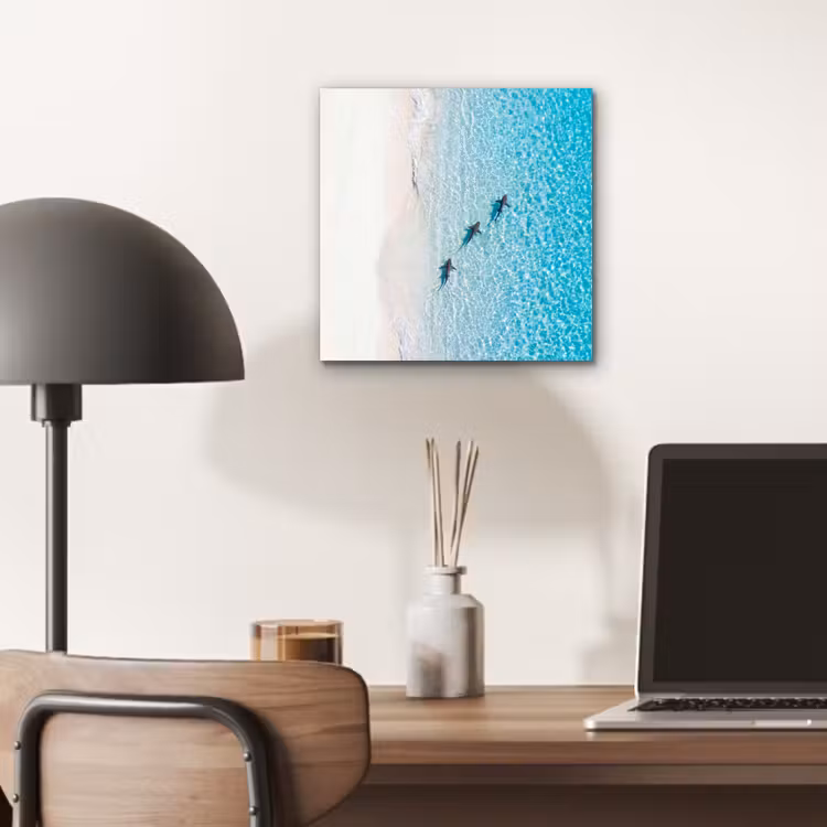 Aluminium schilderij - Vis - Oceaan - Strand - Turquoise - Natuur — 6