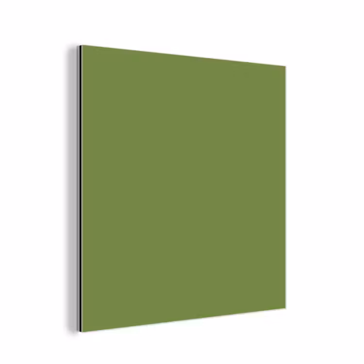 Aluminium schilderij - Moss - Green - Groen — 1