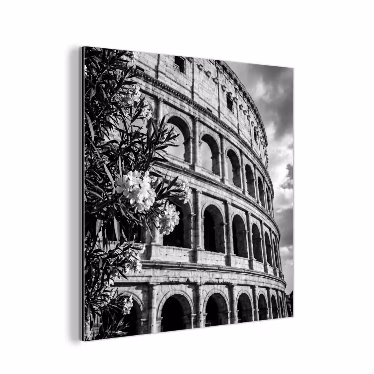 Aluminium schilderij - Architectuur - Colosseum - Rome - Historisch - Zwart-wit — 1