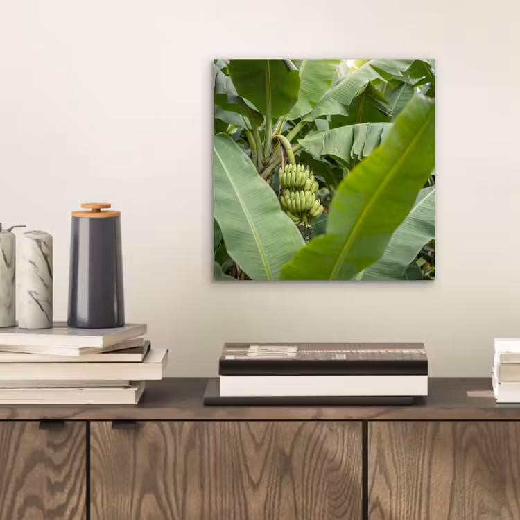 Aluminium schilderij - Eten - Bananen - Plantage - Groen — 2