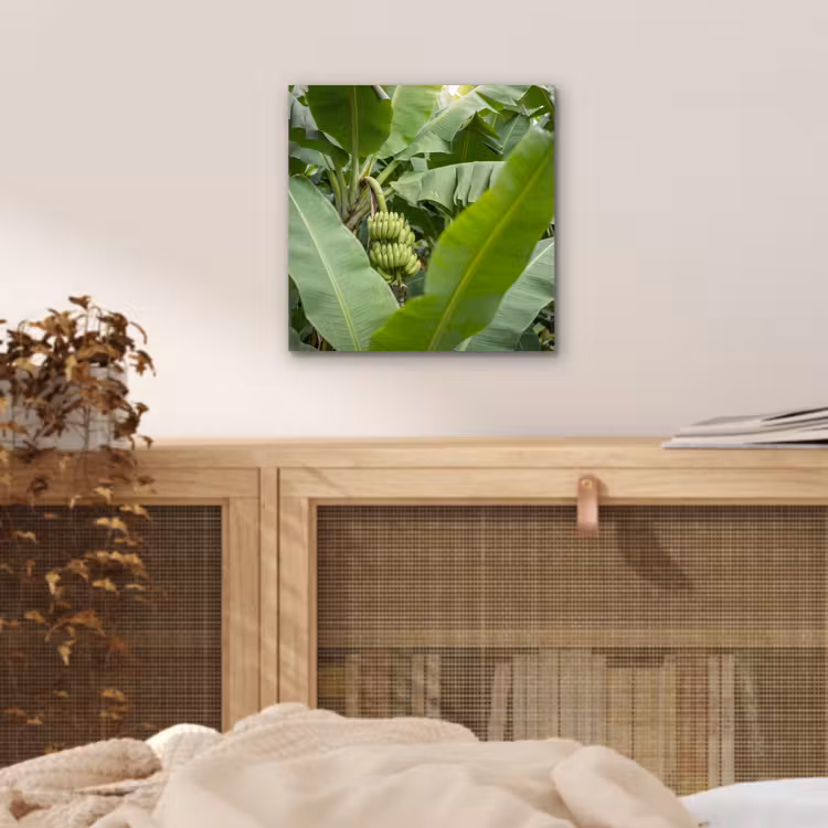 Aluminium schilderij - Eten - Bananen - Plantage - Groen — 4