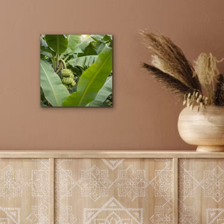 Aluminium schilderij - Eten - Bananen - Plantage - Groen — 5