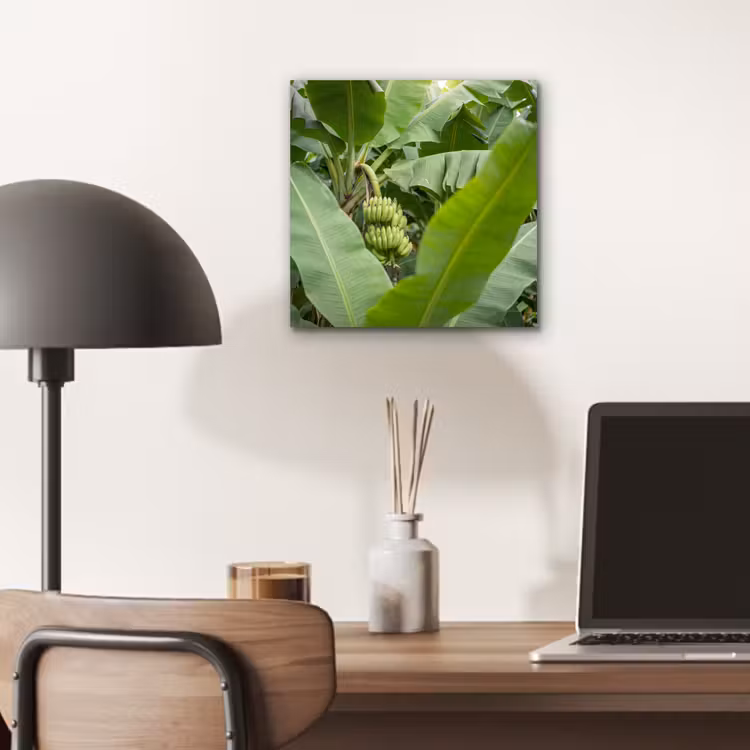 Aluminium schilderij - Eten - Bananen - Plantage - Groen — 6