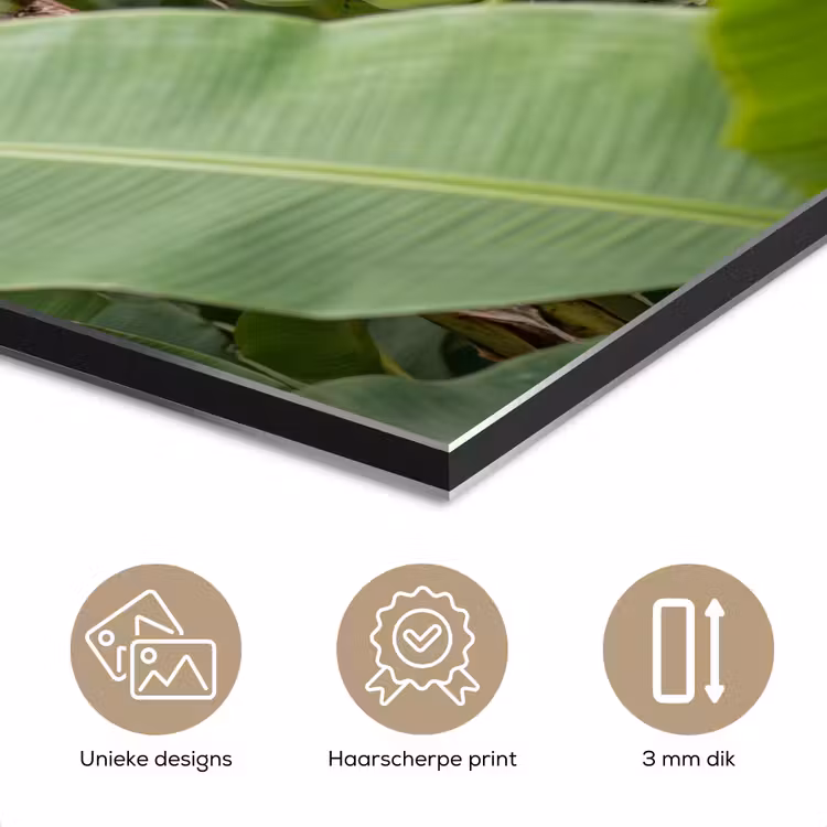 Aluminium schilderij - Eten - Bananen - Plantage - Groen — 7