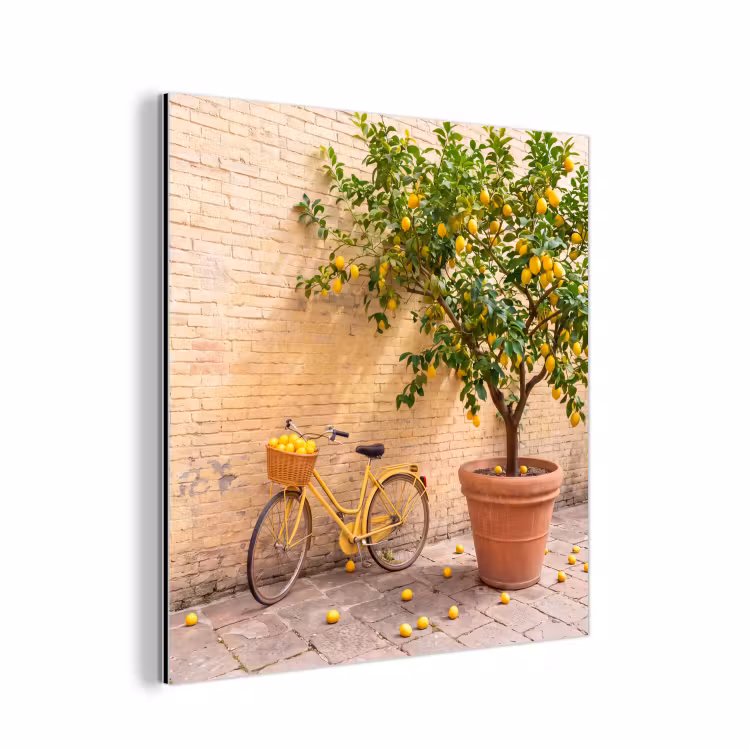 Aluminium schilderij - Fiets - Mand - Eten - Geel - Zomer — 1