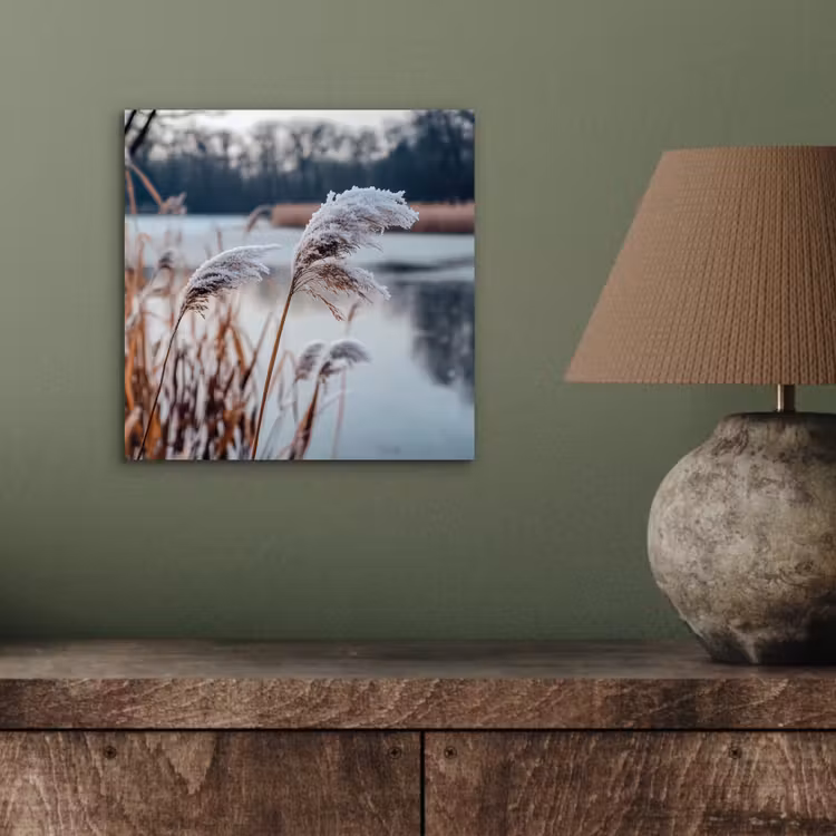 Aluminium schilderij - Riet - Gras - Natuur - Winter - Meer — 3