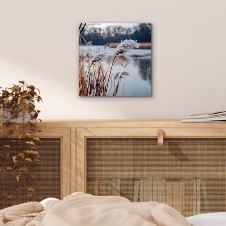 Aluminium schilderij - Riet - Gras - Natuur - Winter - Meer — 4