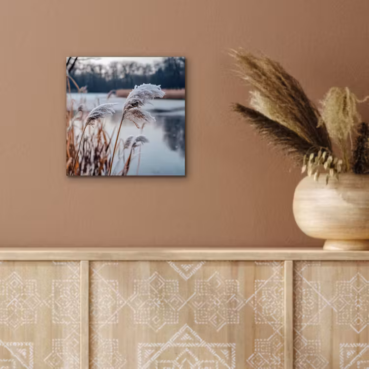 Aluminium schilderij - Riet - Gras - Natuur - Winter - Meer — 5