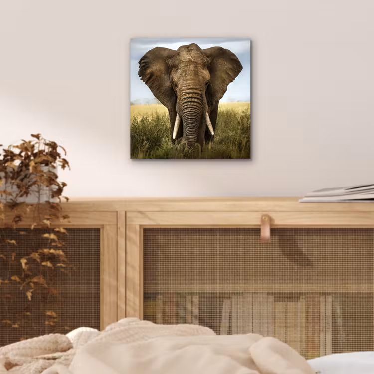 Aluminium schilderij - Olifant - Natuur - Gras - Dieren - Landschap — 4