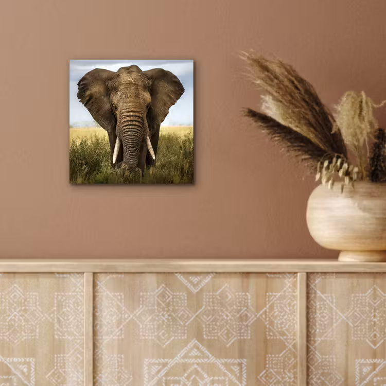 Aluminium schilderij - Olifant - Natuur - Gras - Dieren - Landschap — 5