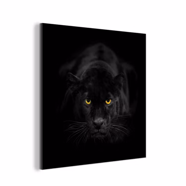 Aluminium schilderij - Panter - Dieren - Zwart - Ogen — 1