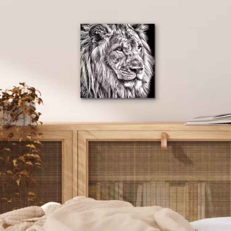 Aluminium schilderij - Portret - Leeuw - Zwart wit — 4