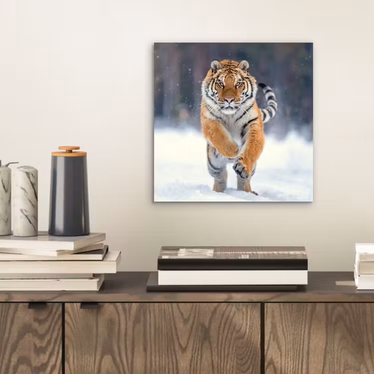 Aluminium schilderij - Tijger - Landschap - Sneeuw - Winter - Dieren — 2