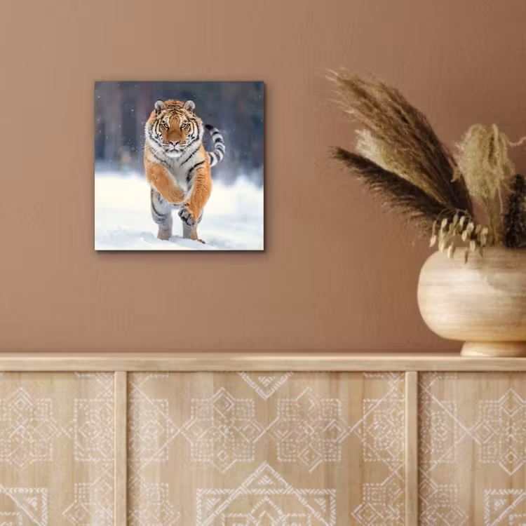 Aluminium schilderij - Tijger - Landschap - Sneeuw - Winter - Dieren — 5