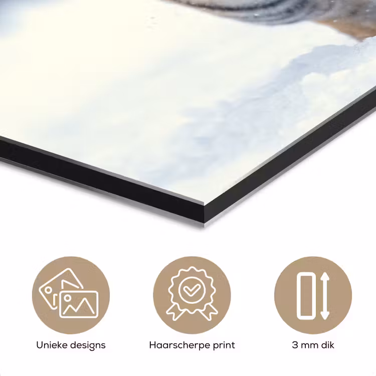 Aluminium schilderij - Tijger - Landschap - Sneeuw - Winter - Dieren — 7