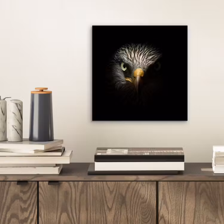 Aluminium schilderij - Vogel - Adelaar - Roofvogels - Oog - Snavel - Licht — 2