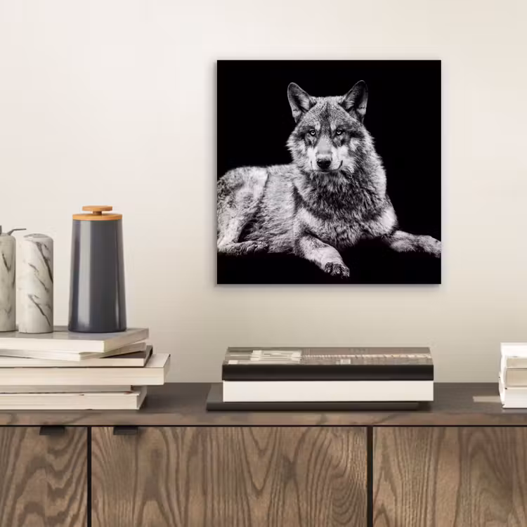 Aluminium schilderij - Wilde dieren - Wolf - Zwart - Wit — 2