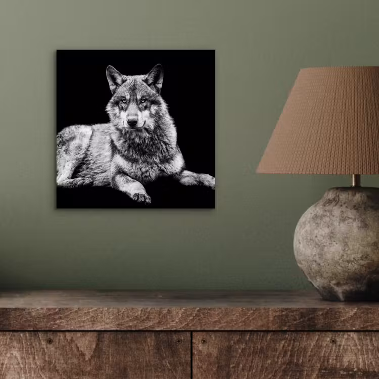 Aluminium schilderij - Wilde dieren - Wolf - Zwart - Wit — 3