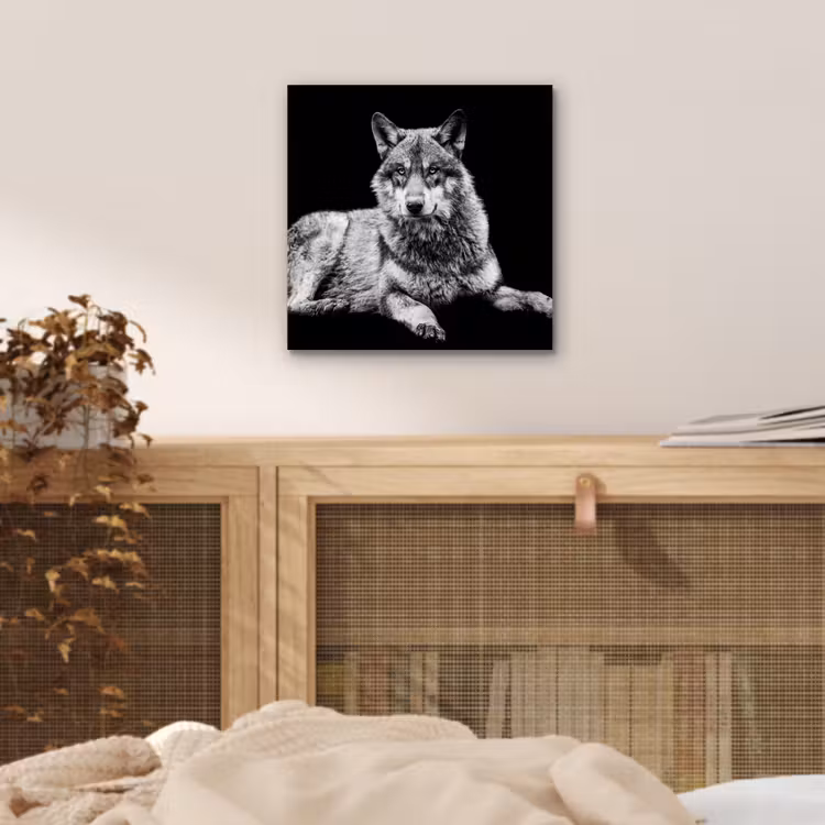 Aluminium schilderij - Wilde dieren - Wolf - Zwart - Wit — 4